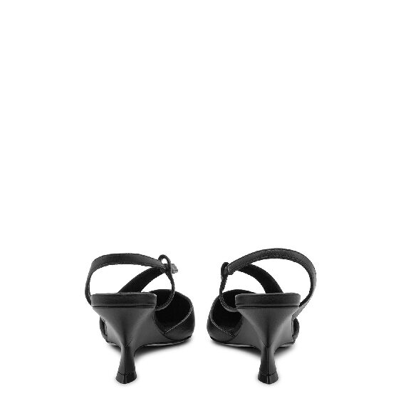 Swan closed shoe black